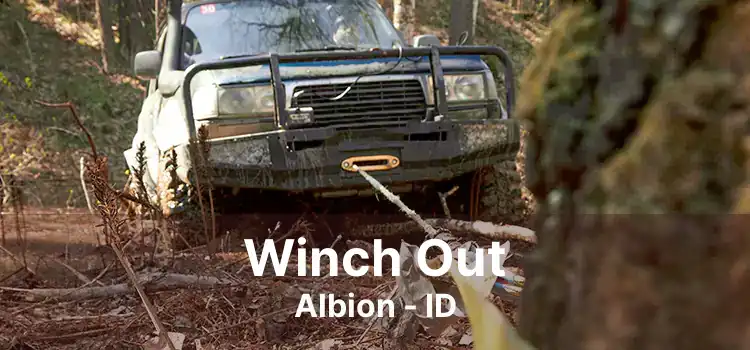 Winch Out Albion - ID