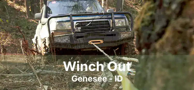 Winch Out Genesee - ID