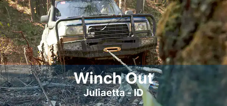 Winch Out Juliaetta - ID