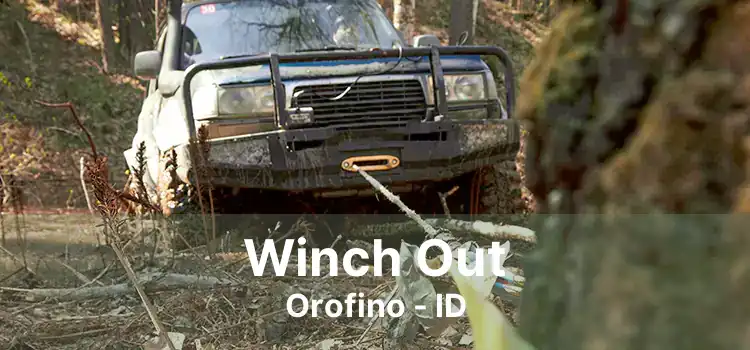 Winch Out Orofino - ID