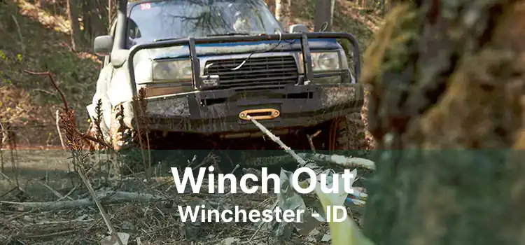 Winch Out Winchester - ID