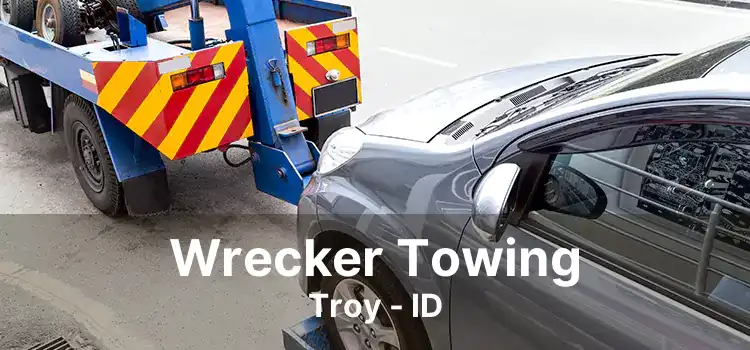 Wrecker Towing Troy - ID